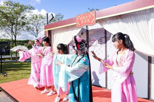 海南举办新时代文明实践志愿服务项目展示活动，数字创意赋能志愿服务新风尚